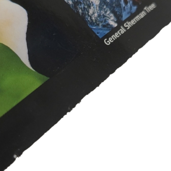 2010 LIFE BOOKS - WONDERS OF LIFE - THE AMAZING WORLD OF NATURE - Picture 5 of 16